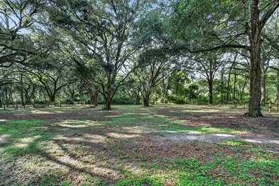 14210 NW Highway 464B, Morriston, FL 32668 - Photo 33