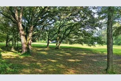 14210 NW Highway 464B, Morriston, FL 32668 - Photo 35