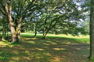 14210 NW Hwy 464B, Morriston, FL 32668 - Photo 35