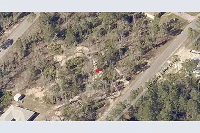 00 Malauka Trail Drive, Ocklawaha, FL 32179 - Photo 1
