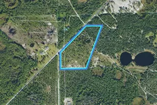 Tbd (Lot 1) NE 115th Ln Rd, Fort Mc Coy, FL 32134 - Photo 1