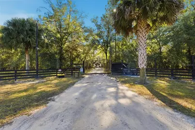 Tbd (Lot 1) NE 115th Lane Road, Fort Mc Coy, FL 32134 - Photo 3