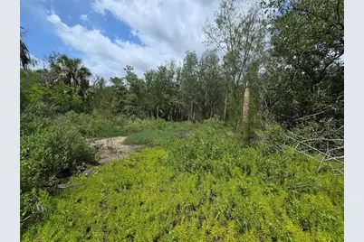 Main Street, New Port Richey, FL 34652 - Photo 27