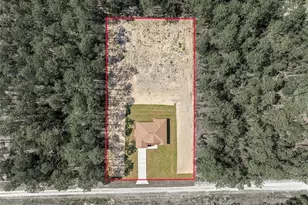 13053 SW 76th Ln, Dunnellon, FL 34432 - Photo 39