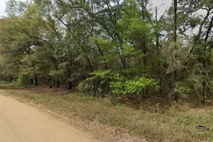 Lot 7 Unit 7 Blk 42 Buckles Ave, Interlachen, FL 32148 - Photo 1