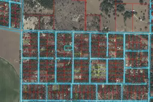 150 SE 144 Ave, Williston, FL 32696 - Photo 1