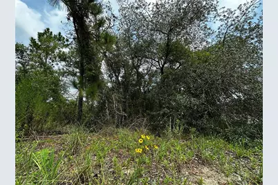 150 SE 144th Avenue, Williston, FL 32696 - Photo 5
