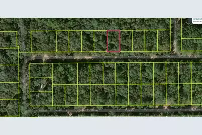 Lot 8, Unit 7, Blk 42 Buckles Avenue, Interlachen, FL 32148 - Photo 3