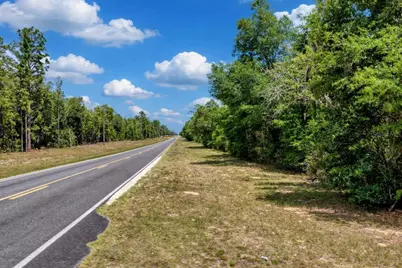Tbd NE 75 Street, Williston, FL 32696 - Photo 9