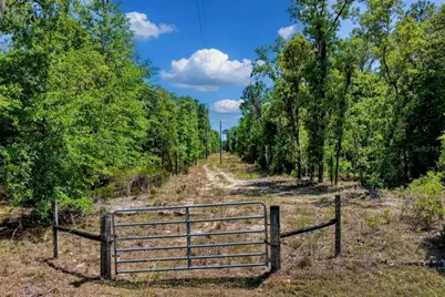 Tbd NE 75 Street, Williston, FL 32696 - Photo 1