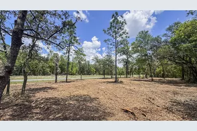 Tbd NE 75 Street, Williston, FL 32696 - Photo 13