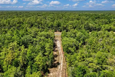 Tbd NE 75 Street, Williston, FL 32696 - Photo 5