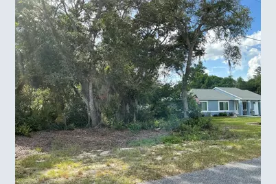 Olive Road, Ocala, FL 34472 - Photo 3