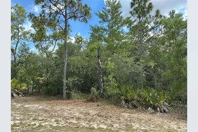 Persimmon Avenue, Weeki Wachee, FL 34614 - Photo 1