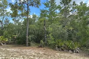 Persimmon Ave, Weeki Wachee, FL 34614 - Photo 1