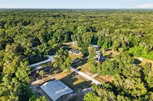 13930 NE 41st Terrace, Anthony, FL 32617 - Photo 43