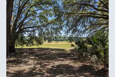 00 NW 60th Avenue, Chiefland, FL 32626 - Photo 3