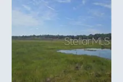 00 NW 60th Avenue, Chiefland, FL 32626 - Photo 5