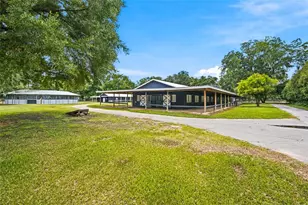 3825 NW 160th St, Reddick, FL 32686 - Photo 11