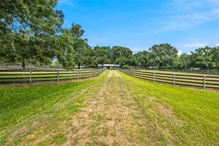 3825 NW 160th St, Reddick, FL 32686 - Photo 29