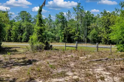 Tbd NE 75th Street, Williston, FL 32696 - Photo 9