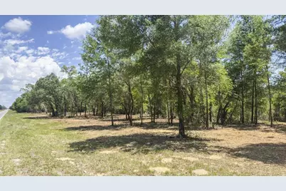 Tbd NE 75th Street, Williston, FL 32696 - Photo 17