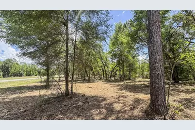 Tbd NE 75th Street, Williston, FL 32696 - Photo 13