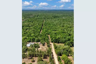 Tbd NE 75th Street, Williston, FL 32696 - Photo 3