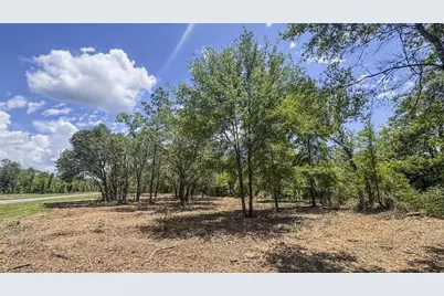 Tbd NE 75th Street, Williston, FL 32696 - Photo 13