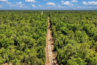 Tbd NE 75th Street, Williston, FL 32696 - Photo 5