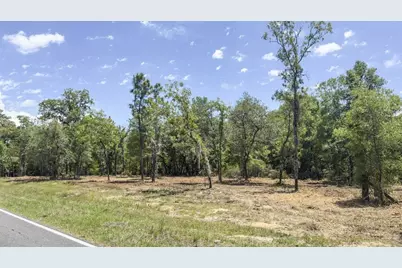 Tbd NE 75th Street, Williston, FL 32696 - Photo 21