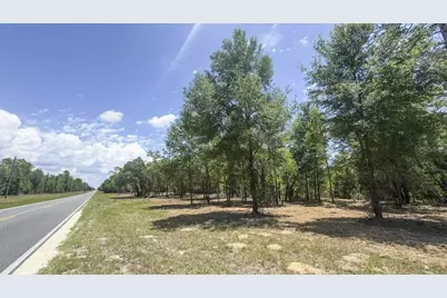 Tbd NE 75th Street, Williston, FL 32696 - Photo 17