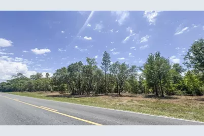 Tbd NE 75th Street, Williston, FL 32696 - Photo 19