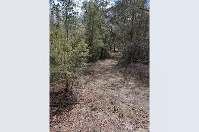 0 SW 90th Street, Dunnellon, FL 34432 - Photo 5