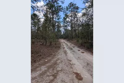 0 SW 90th Street, Dunnellon, FL 34432 - Photo 3