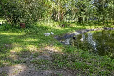 16250 SW 20th Avenue Road, Ocala, FL 34473 - Photo 51