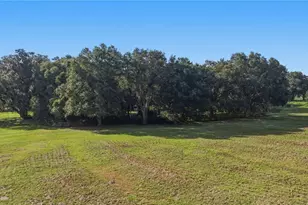16250 SW 20th Avenue Rd, Ocala, FL 34473 - Photo 65