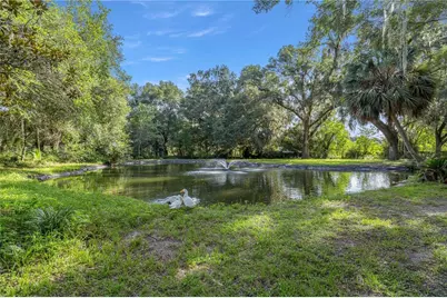 16250 SW 20th Avenue Road, Ocala, FL 34473 - Photo 47