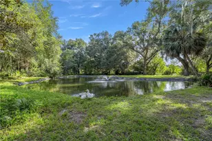 16250 SW 20th Avenue Rd, Ocala, FL 34473 - Photo 47