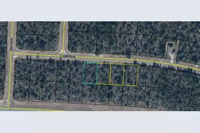 Lot 8, Unit 7, Blk 458 Trenton Street, Chipley, FL 32428 - Photo 3