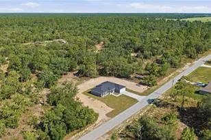 1690 SW Viburnum Rd, Dunnellon, FL 34431 - Photo 27