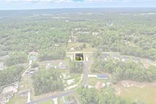 6651 SW 151 Loop, Ocala, FL 34473 - Photo 39