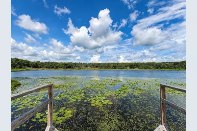 16758 SE 181st Terrace, Weirsdale, FL 32195 - Photo 5