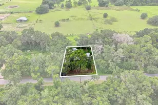 4370 E Amherst St, Hernando, FL 34442 - Photo 29