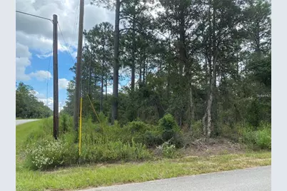 00 SW Buena Vista Road, Dunnellon, FL 34431 - Photo 1