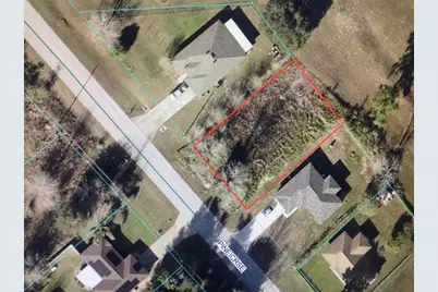 0 Pine Course, Ocala, FL 34472 - Photo 3