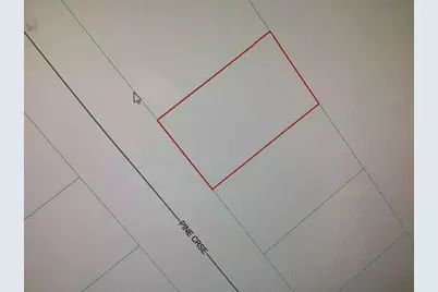 0 Pine Course, Ocala, FL 34472 - Photo 5
