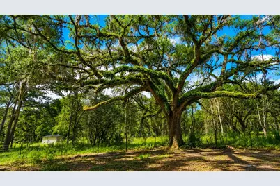 11Ac NE Hwy 315, Fort Mc Coy, FL 32134 - Photo 3