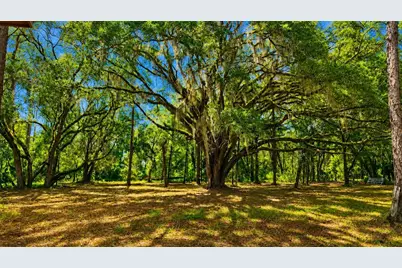 11Ac NE Hwy 315, Fort Mc Coy, FL 32134 - Photo 5
