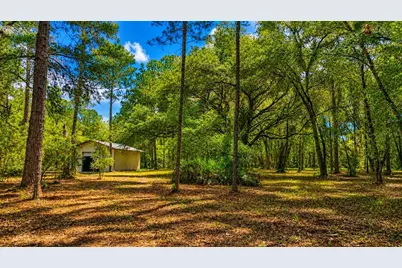11Ac NE Hwy 315, Fort Mc Coy, FL 32134 - Photo 7